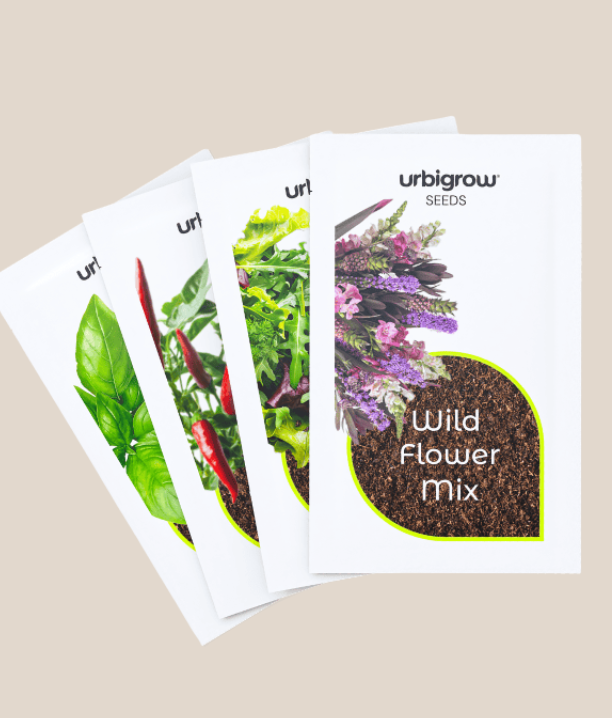 Seeds: Basil, Salad Mix, Wildflower Mix and Chilli Pepper