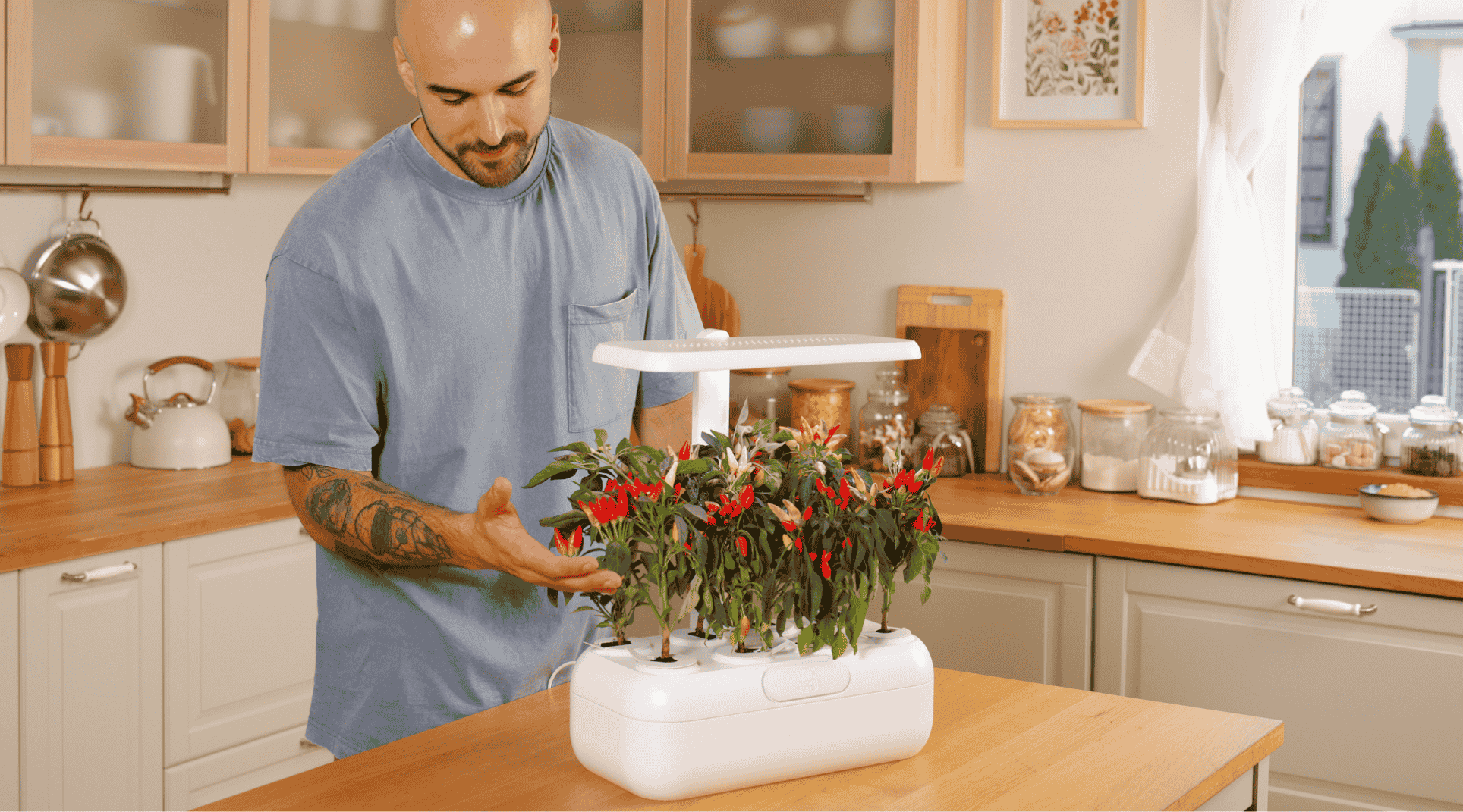 Video fallback image